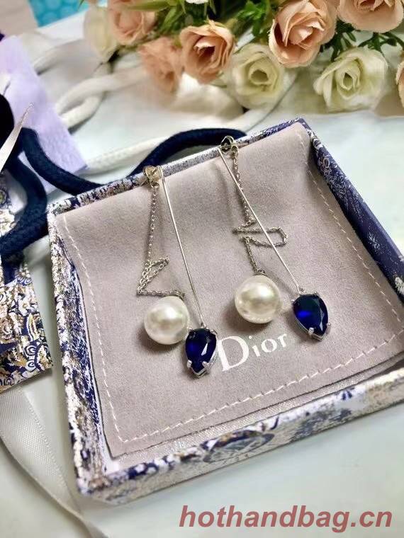 Dior Earrings CE6835