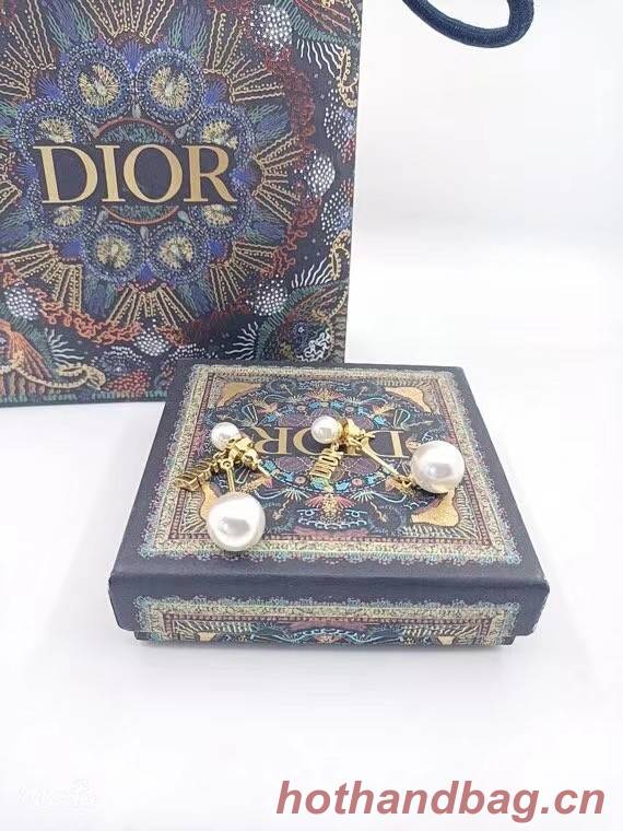 Dior Earrings CE6839