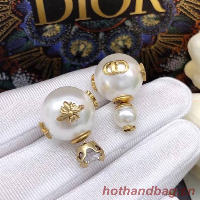 Dior Earrings CE6860