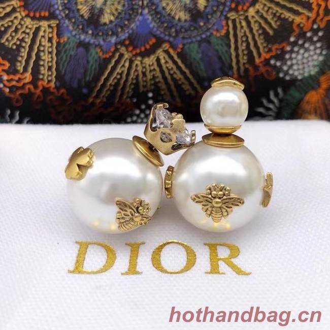 Dior Earrings CE6860