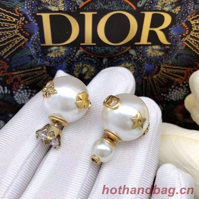 Dior Earrings CE6860