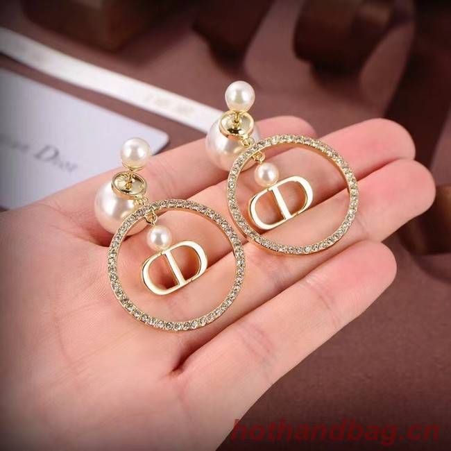 Dior Earrings CE6881