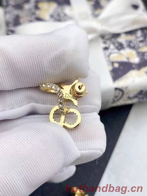 Dior Earrings CE6884