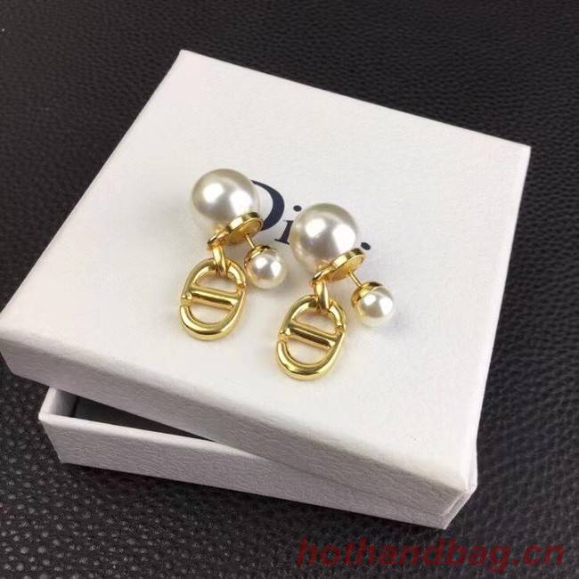 Dior Earrings CE6885