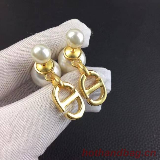 Dior Earrings CE6885