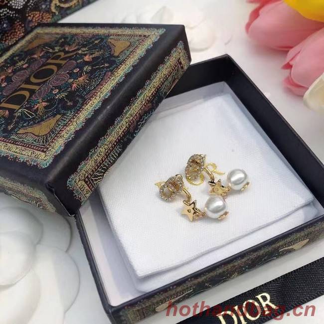 Dior Earrings CE6927