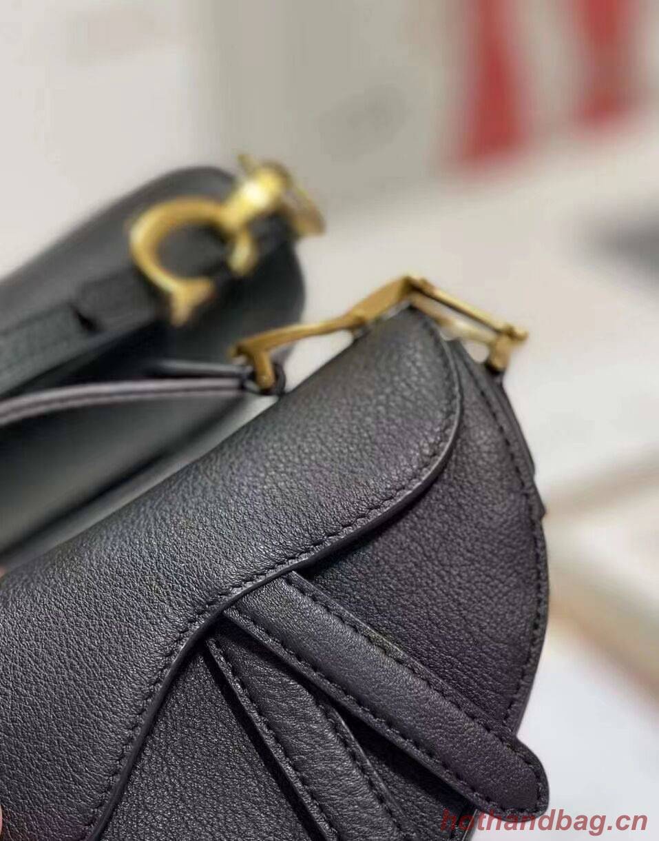 DIOR SADDLE BAG mini Goatskin C8160 black