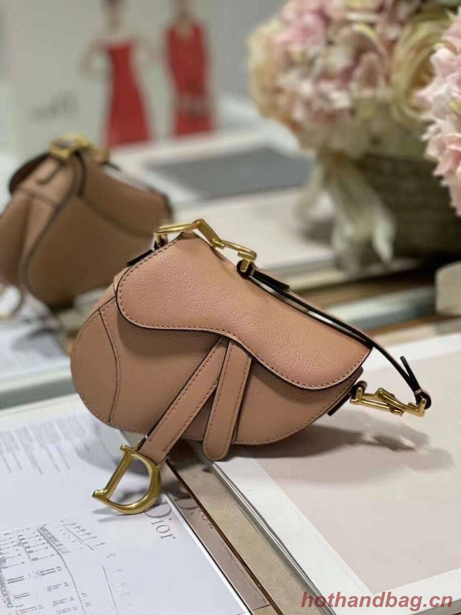 DIOR SADDLE BAG mini Calfskin C8160 pink