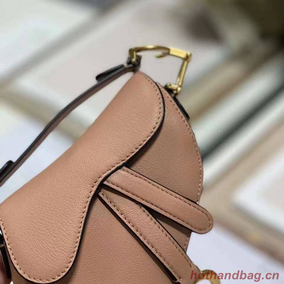 DIOR SADDLE BAG mini Calfskin C8160 pink