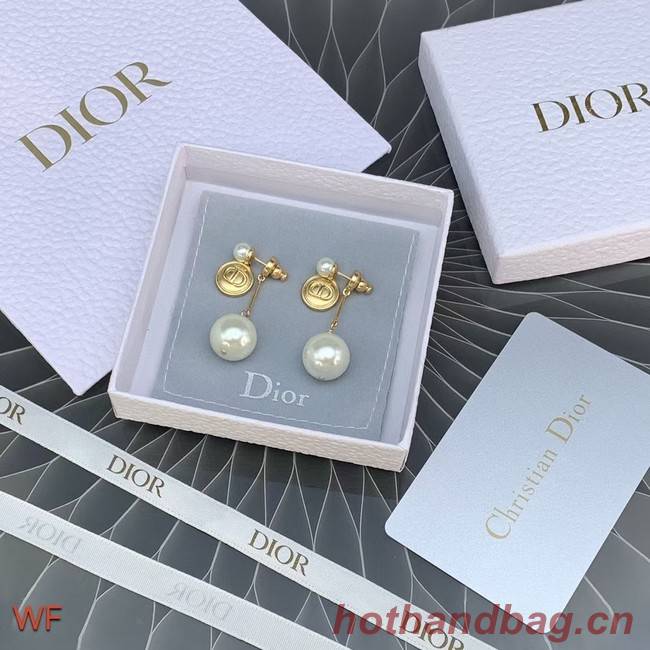 Dior Earrings CE6954