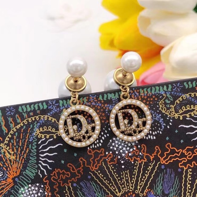 Dior Earrings CE7027