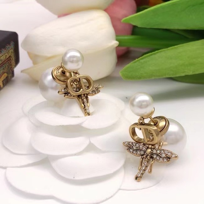 Dior Earrings CE7028