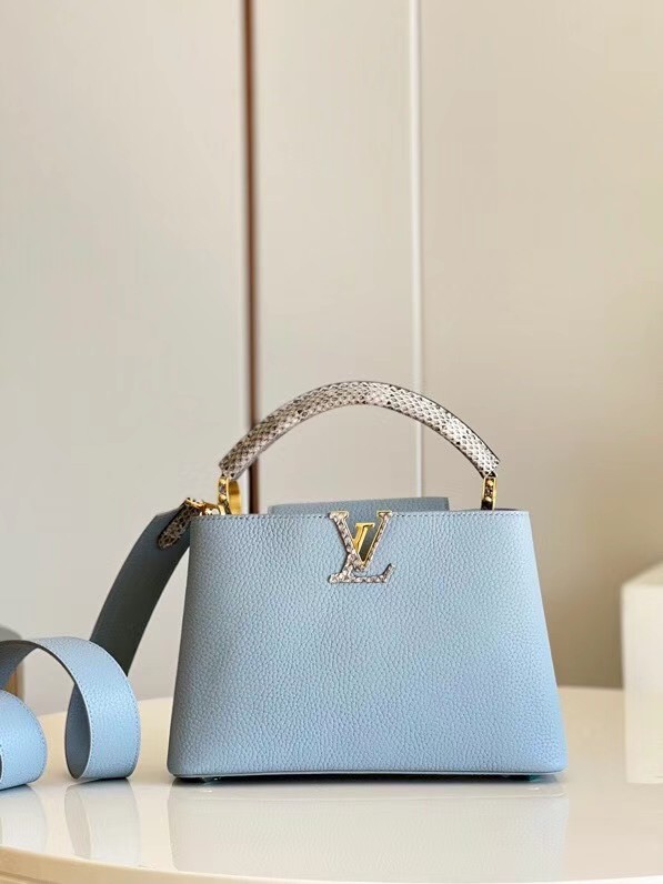 Louis Vuitton CAPUCINES PM M97980 light blue