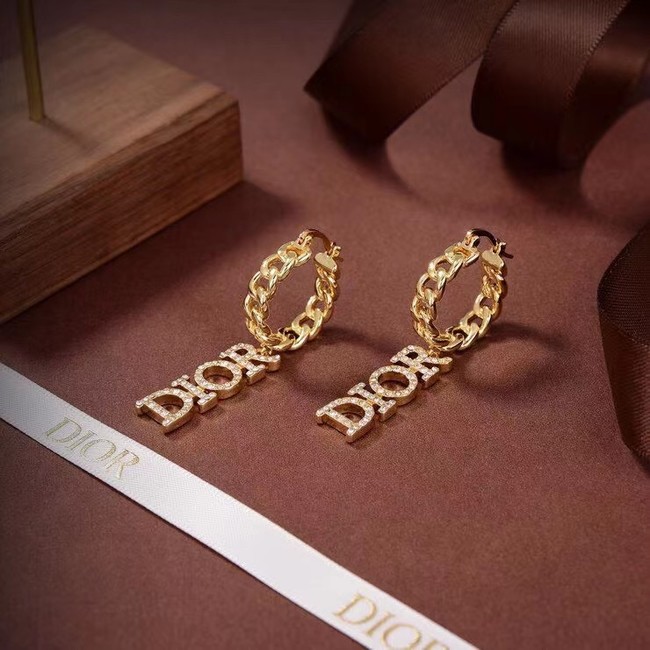 Dior Earrings CE7102