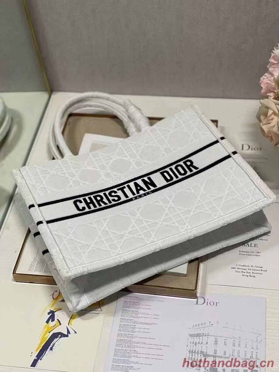 SMALL DIOR BOOK TOTE Velvet C1287-1 white