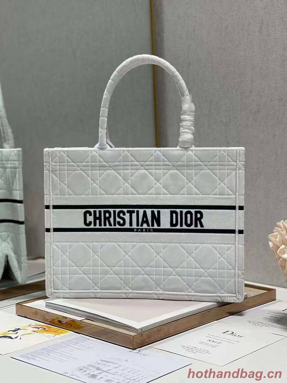 SMALL DIOR BOOK TOTE Velvet C1287-1 white