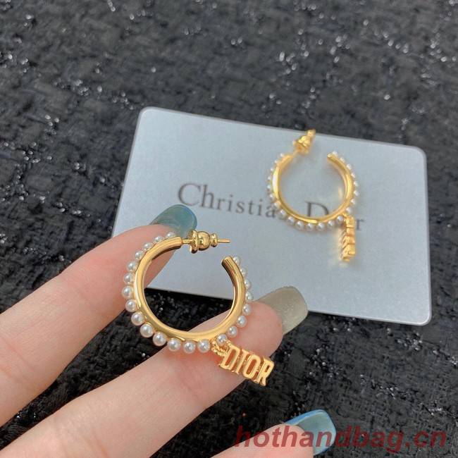 Dior Earrings CE7151