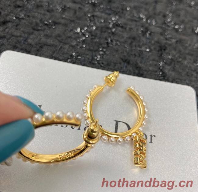 Dior Earrings CE7151