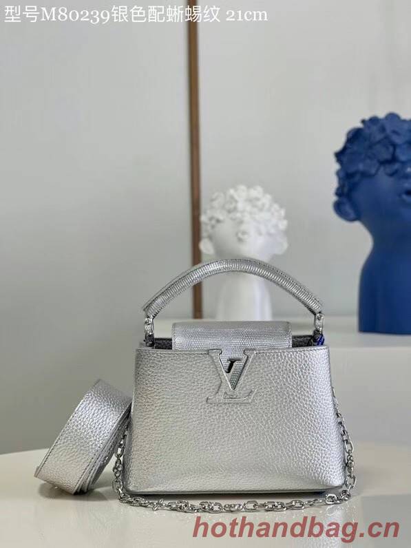 Louis Vuitton CAPUCINES MINI M80239 silver