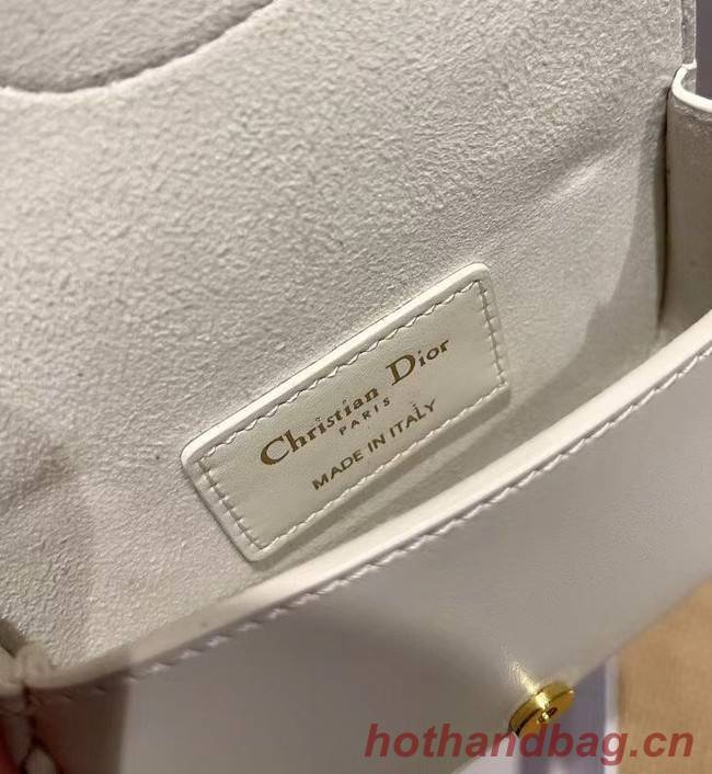 MINI DIOR BOBBY BAG Warm Taupe Box Calfskin S5109U WHITE