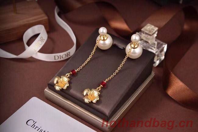 Dior Earrings CE7201