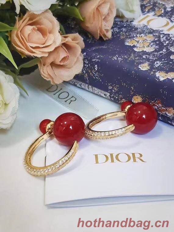 Dior Earrings CE7215