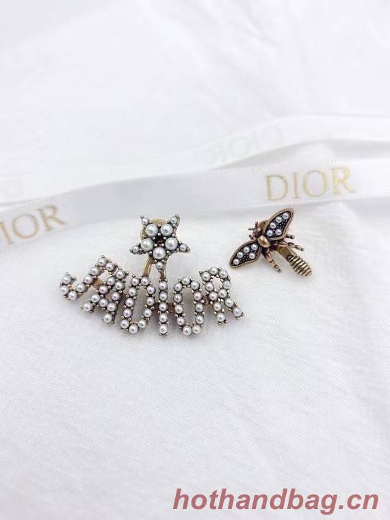 Dior Earrings CE7218