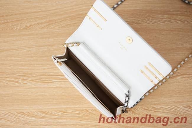 Chanel SMALL FLAP BAG AP2508 white