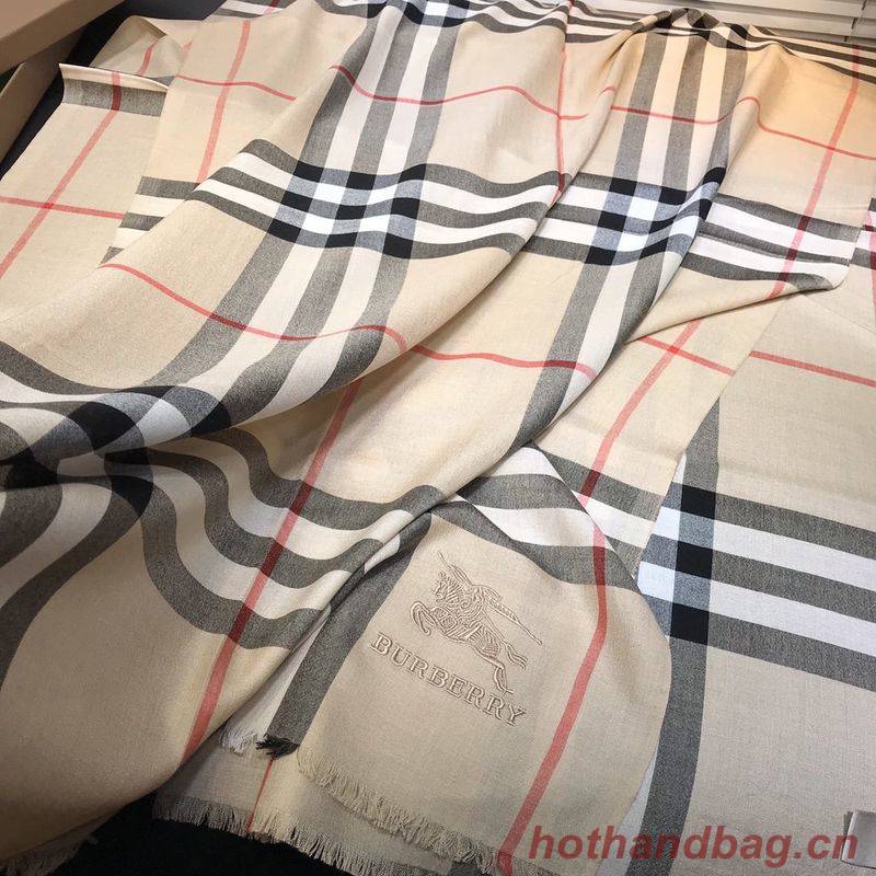 Burberry Scarf B00295