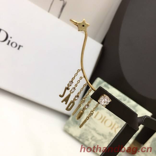 Dior Earrings CE7274