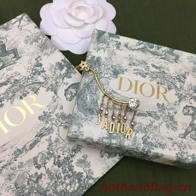 Dior Earrings CE7274