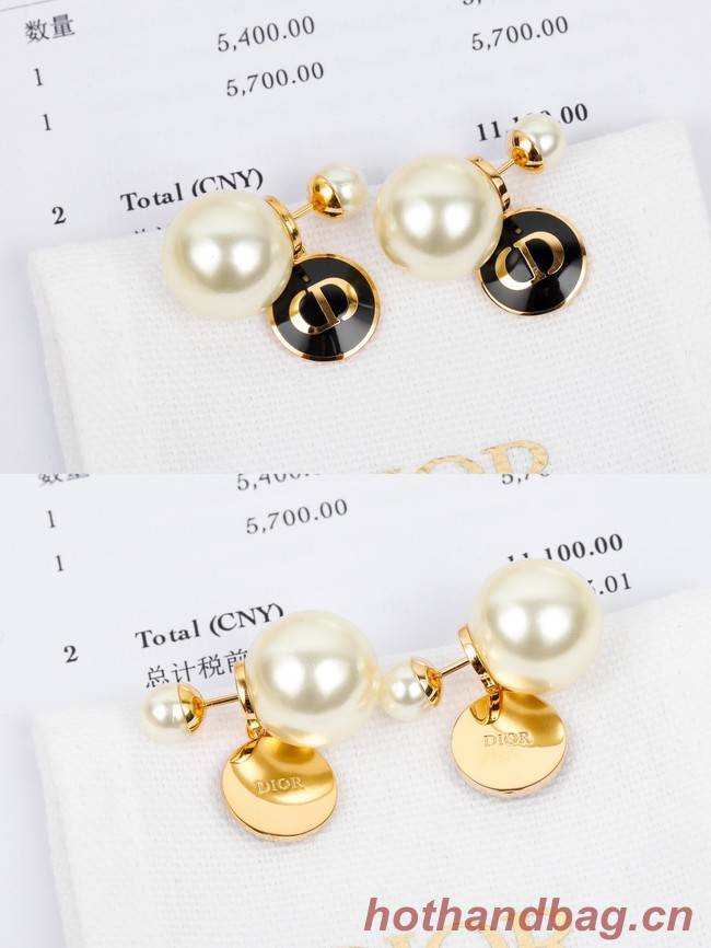 Dior Earrings CE7298