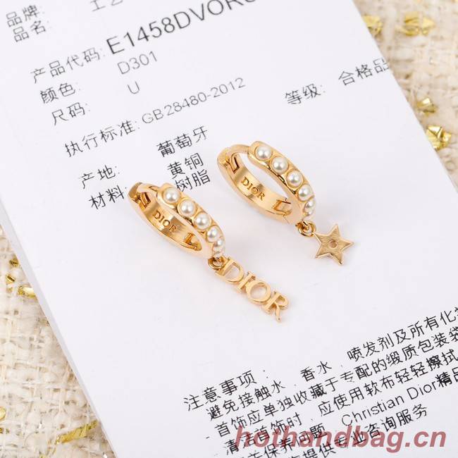 Dior Earrings CE7299