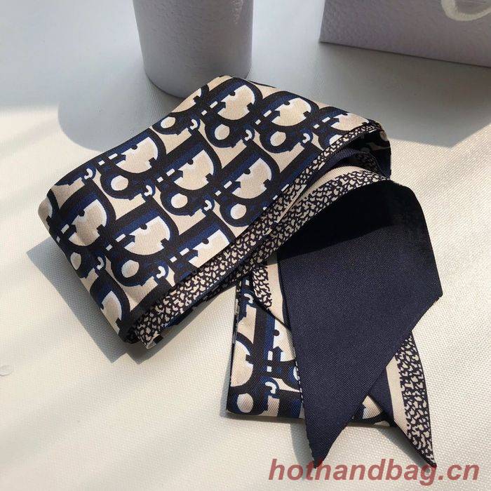 Dior Scarf CD00100