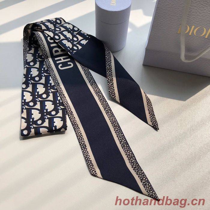 Dior Scarf CD00100