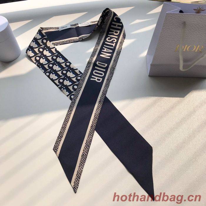 Dior Scarf CD00100