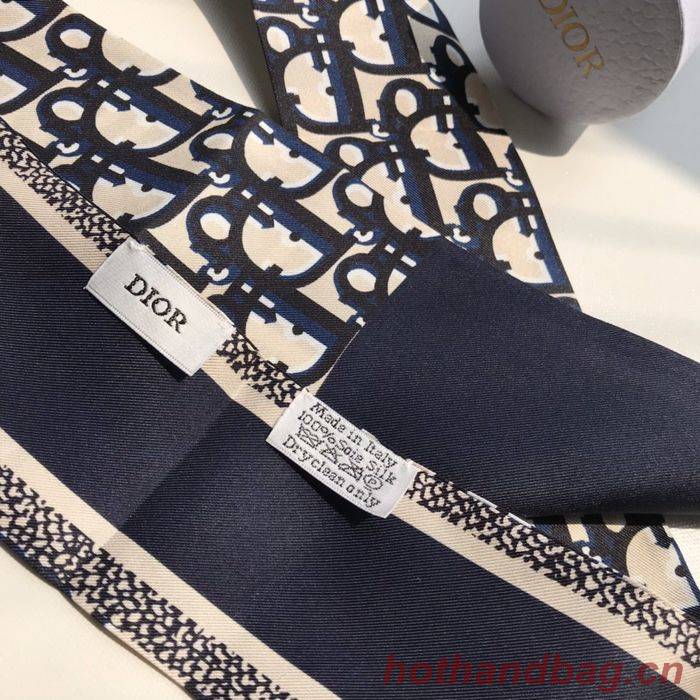 Dior Scarf CD00100