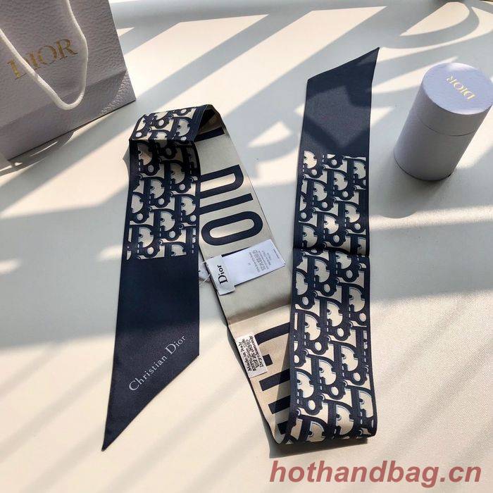 Dior Scarf CD00101