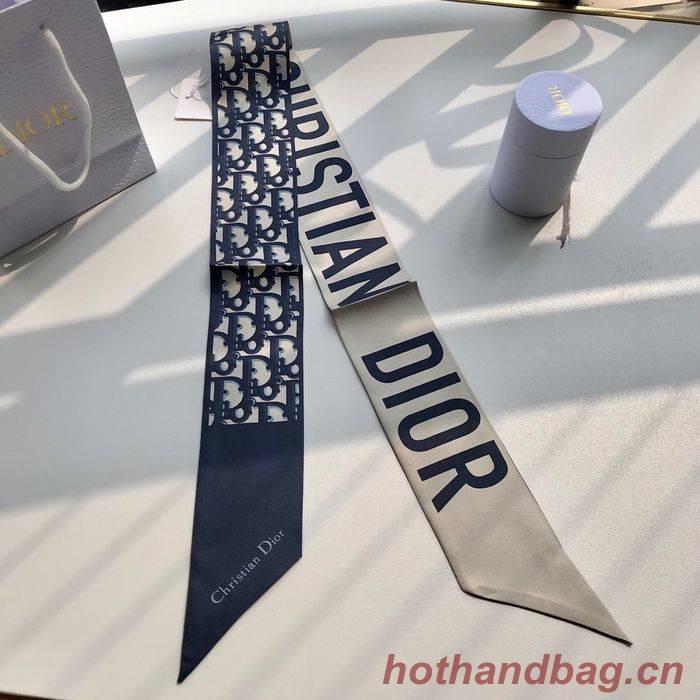 Dior Scarf CD00101