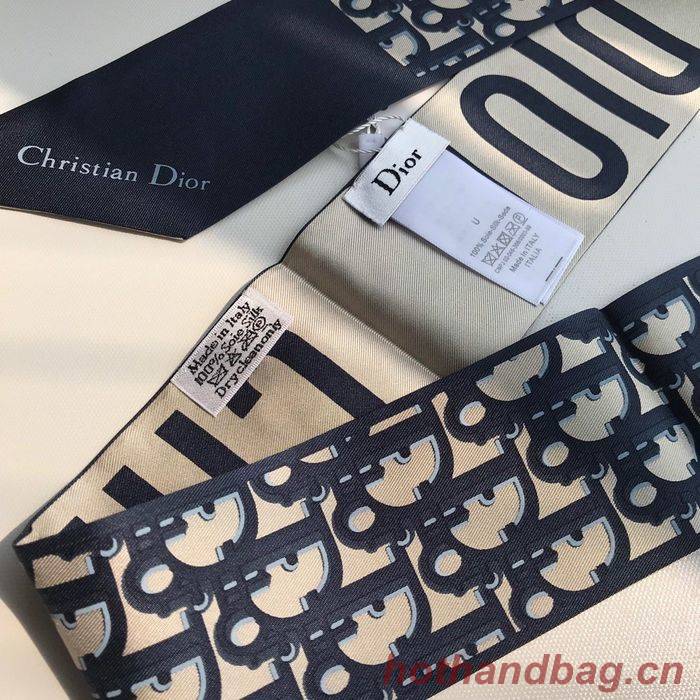 Dior Scarf CD00101