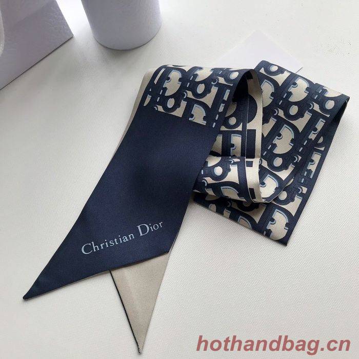 Dior Scarf CD00101