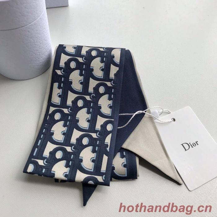 Dior Scarf CD00101