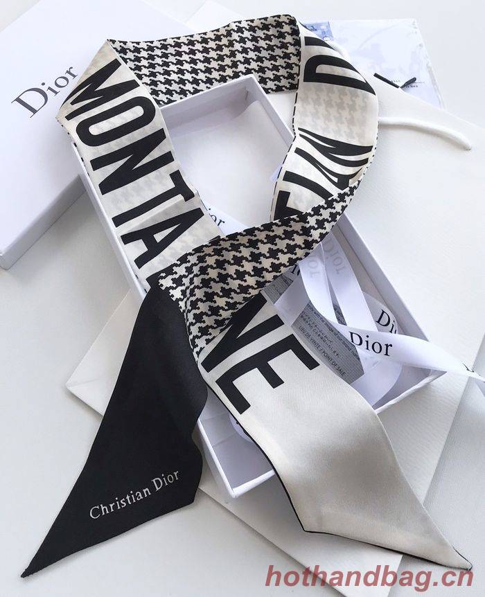 Dior Scarf CD00102