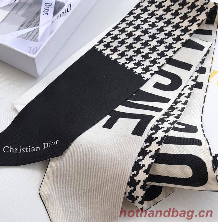 Dior Scarf CD00102