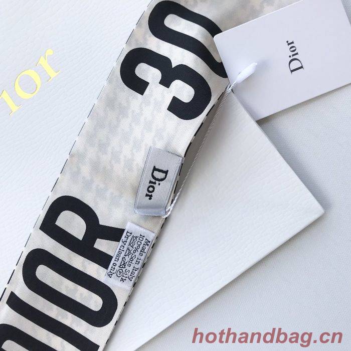 Dior Scarf CD00102