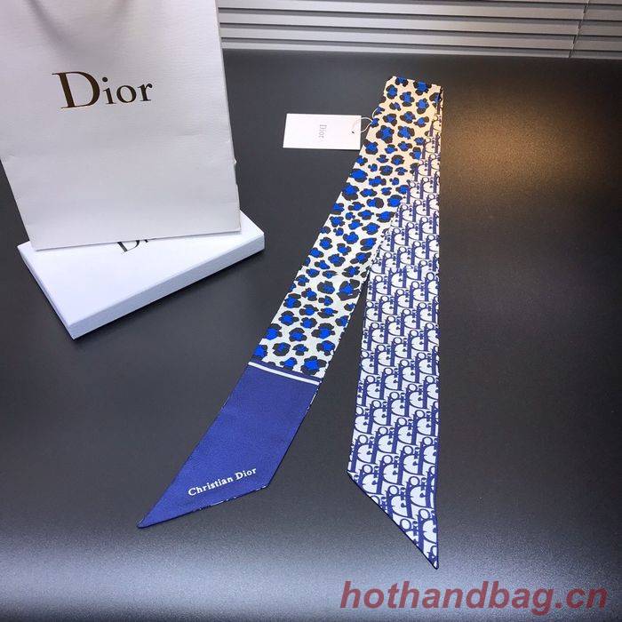 Dior Scarf CD00104