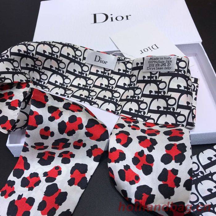 Dior Scarf CD00105