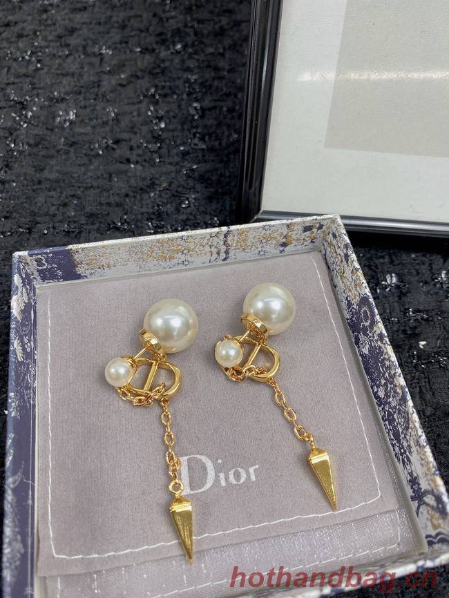 Dior Earrings CE7454