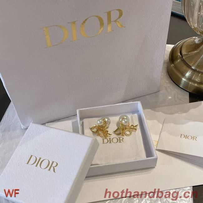 Dior Earrings CE7501