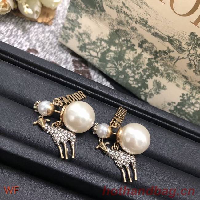 Dior Earrings CE7556